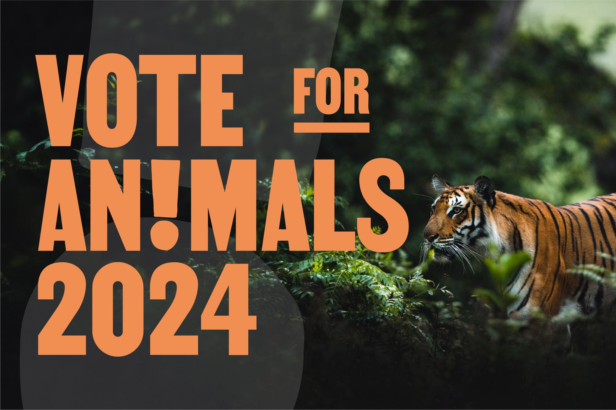 Vota por los Animales 2024 | ¡Pide a los candidatos que se comprometan por los animales!
