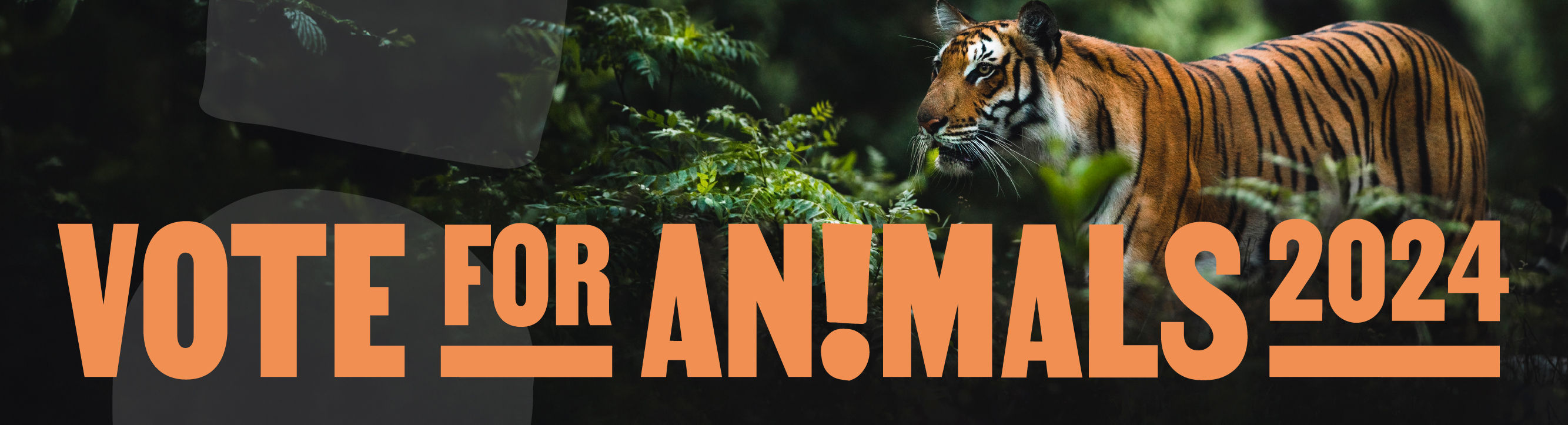Vota por los Animales 2024 | ¡Pide a los candidatos que se comprometan por los animales!